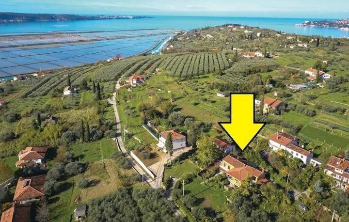Vista Del Sal Lägenhet Portorož Exteriör bild
